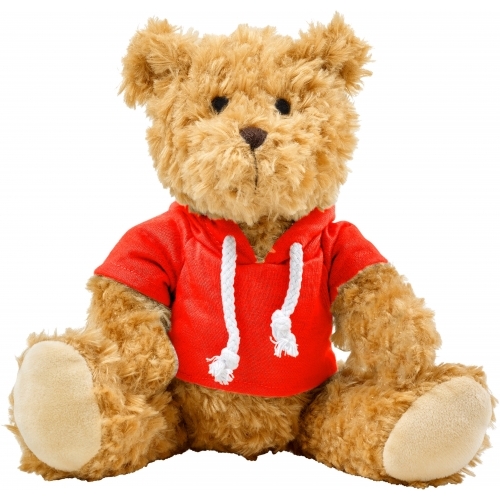 Plush teddy bear with hoodie